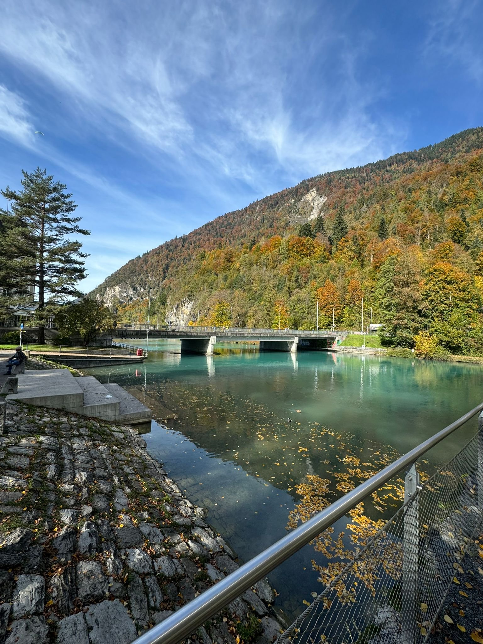 WhatsApp Image 2025 09 12 at 2.41.50 PM 2