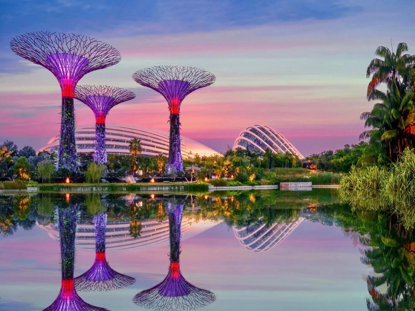 Singapore Travel Guide: Best Places to Visit and Things to Experience Garden by the Bay Singapore scaled