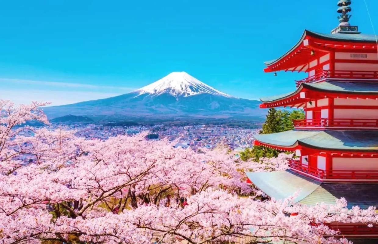 Japan family tour