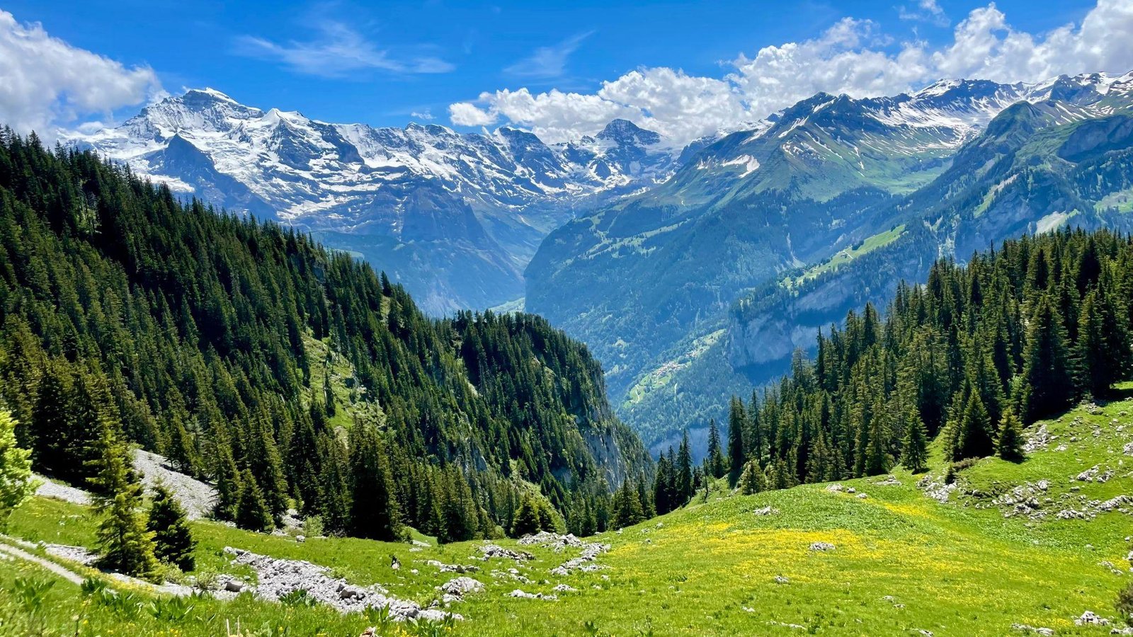8 day Switzerland tour